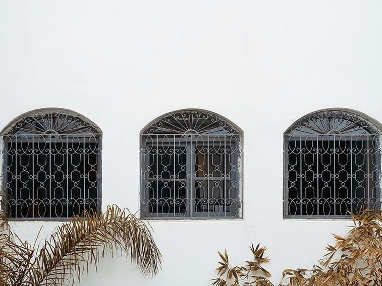 wallpaper desktop minimalism windows wall white plants
