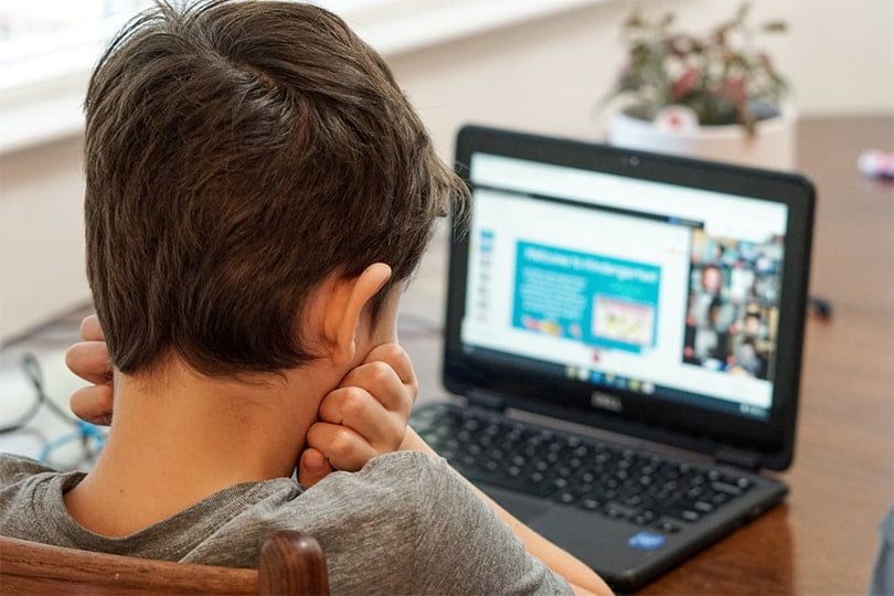 boy attending online class