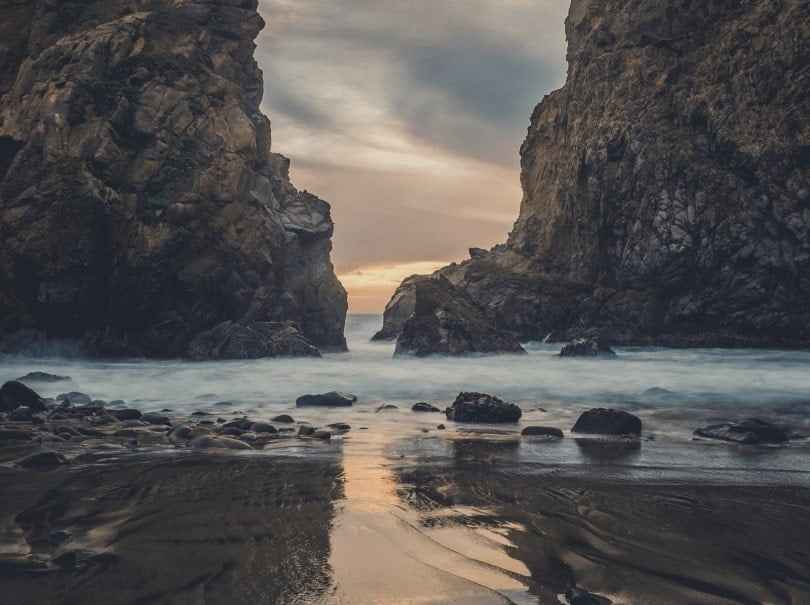 nature hd wall