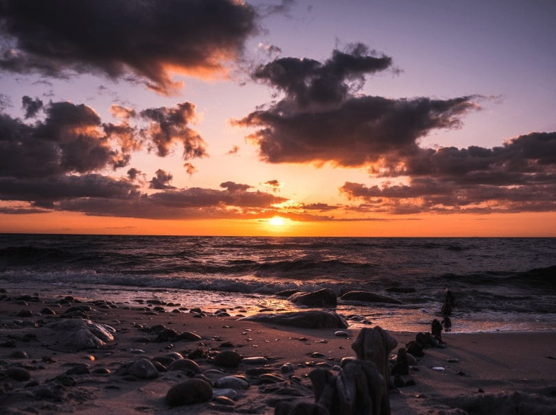 nature hd wall