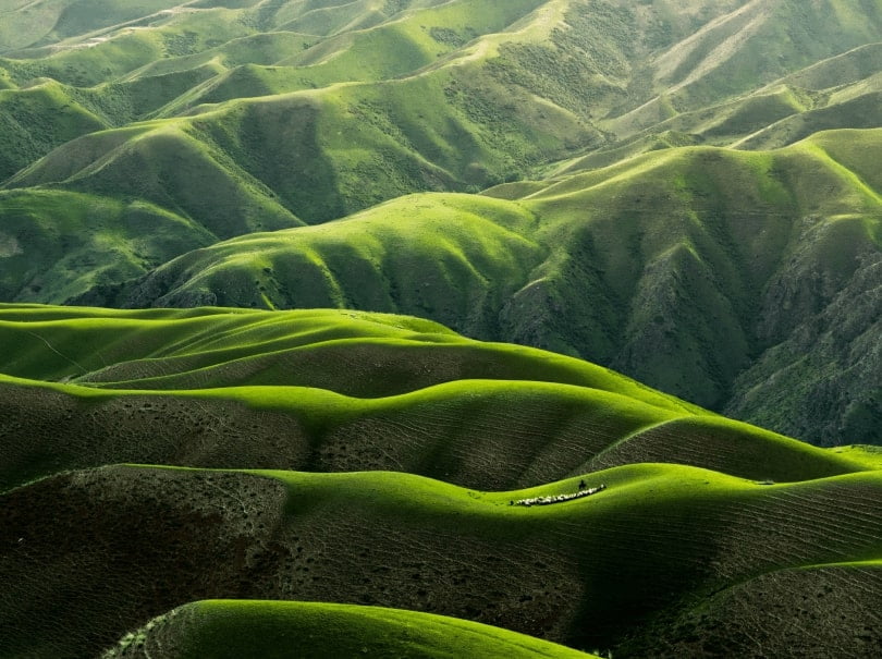 nature hd wall