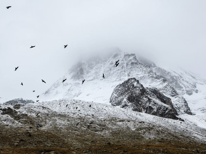 nature hd wall