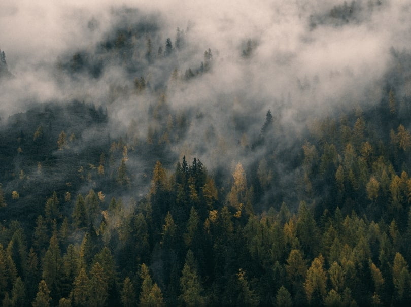 nature hd wall