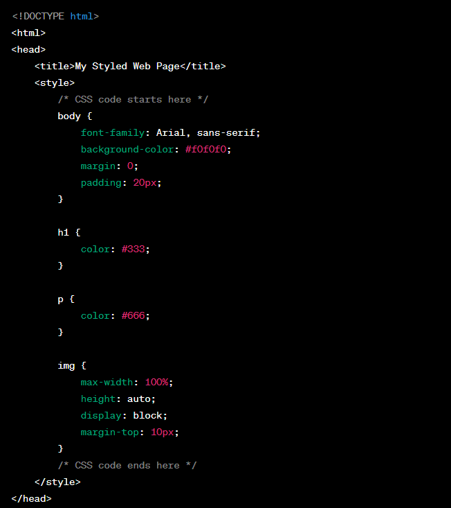 The Future of Web: 2023’s Best Programming Languages