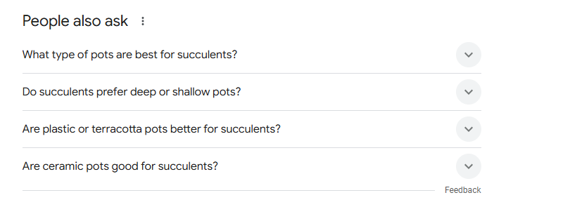 People Also Ask featured snippet for the topic "best pots for succulents"